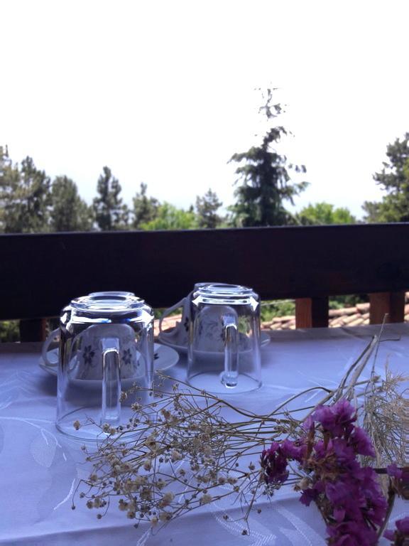 Chardak Apartments Ohrid Luaran gambar